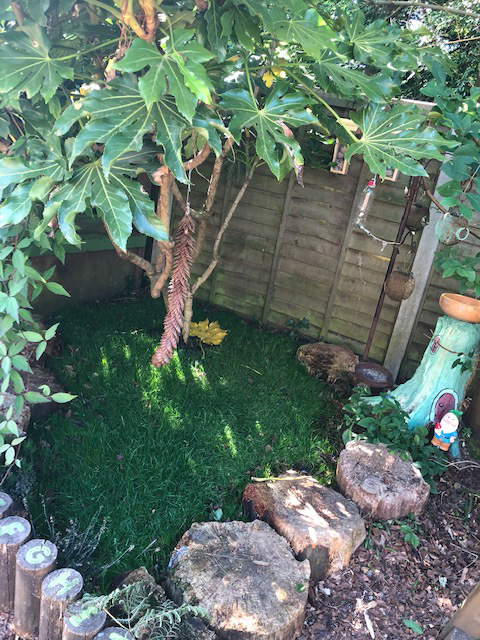 garden8